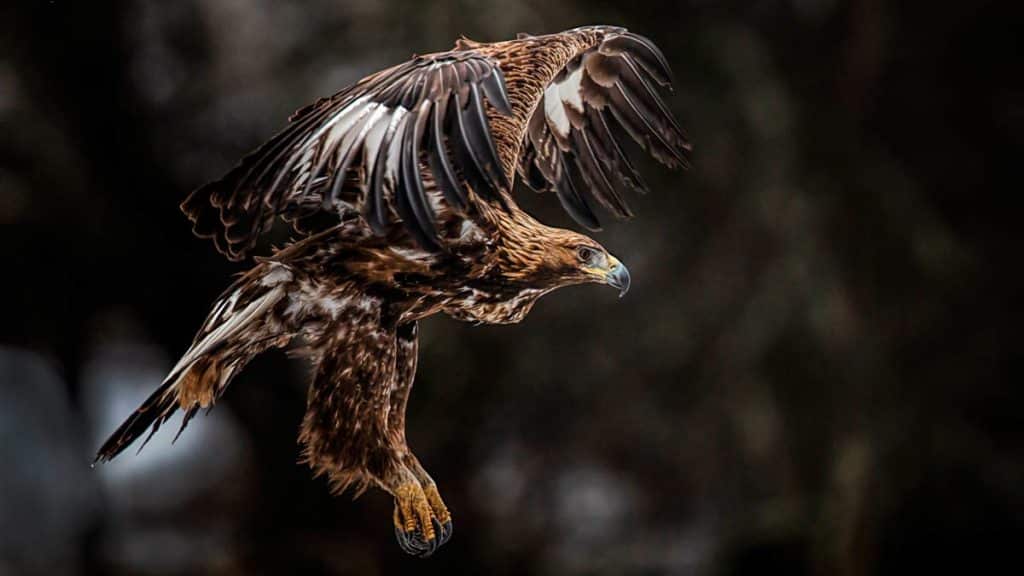 https://revistajaraysedal.es/wp-content/uploads/2021/08/pesca-galicia-puerto.jpg
