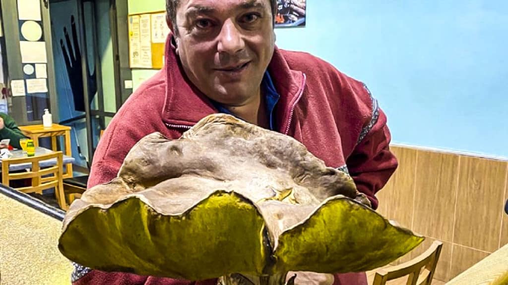 https://revistajaraysedal.es/wp-content/uploads/2021/08/pesca-galicia-puerto.jpg