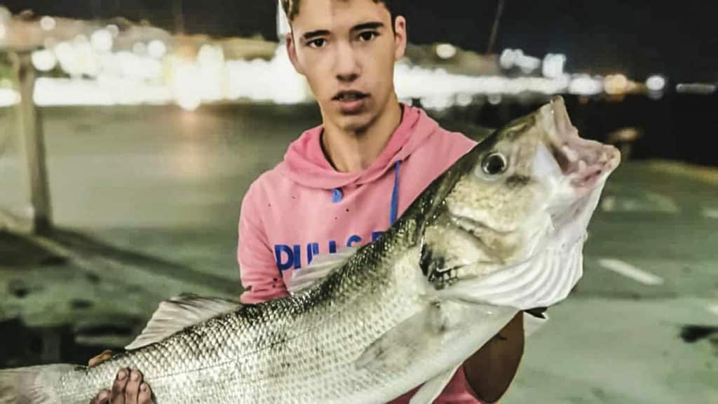 https://revistajaraysedal.es/wp-content/uploads/2021/08/pesca-galicia-puerto.jpg