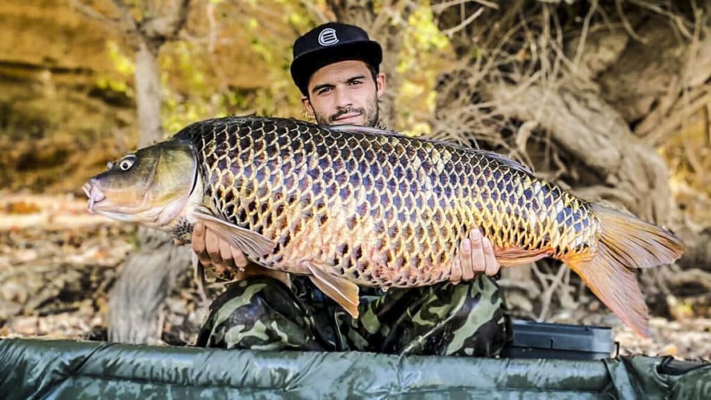 https://revistajaraysedal.es/wp-content/uploads/2021/08/pesca-galicia-puerto.jpg