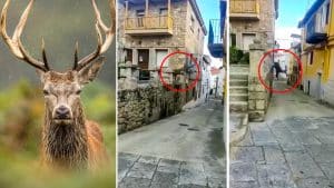 https://revistajaraysedal.es/wp-content/uploads/2021/08/pesca-galicia-puerto.jpg