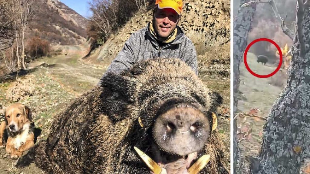 https://revistajaraysedal.es/wp-content/uploads/2021/08/pesca-galicia-puerto.jpg