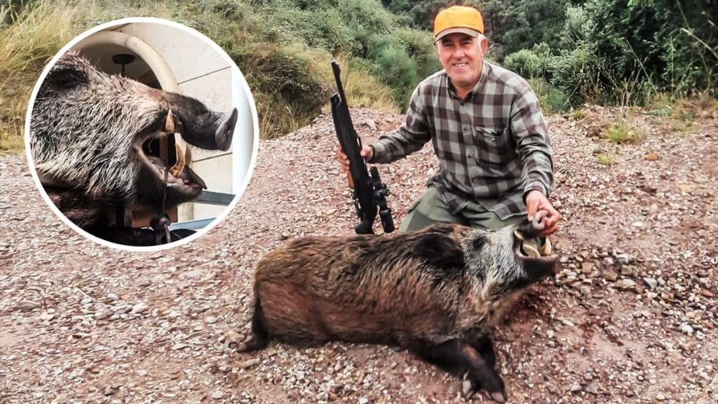 https://revistajaraysedal.es/wp-content/uploads/2021/08/pesca-galicia-puerto.jpg