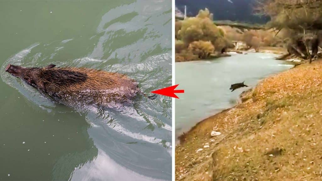 https://revistajaraysedal.es/wp-content/uploads/2021/08/pesca-galicia-puerto.jpg