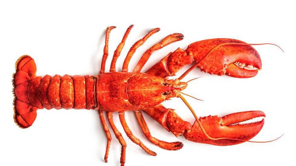 https://revistajaraysedal.es/wp-content/uploads/2021/08/pesca-galicia-puerto.jpg