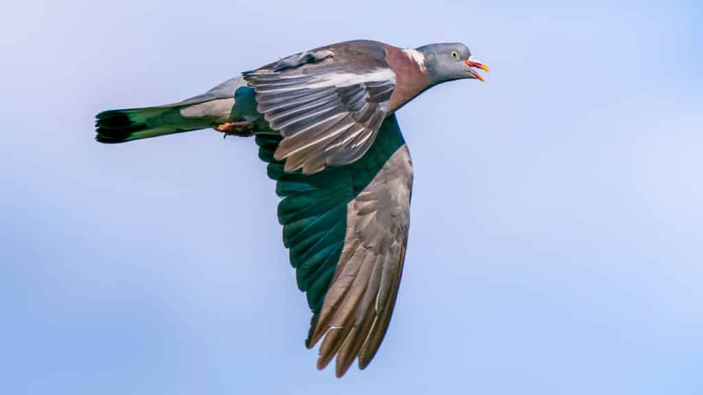 https://revistajaraysedal.es/wp-content/uploads/2021/08/pesca-galicia-puerto.jpg