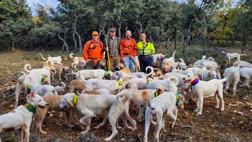https://revistajaraysedal.es/wp-content/uploads/2021/08/pesca-galicia-puerto.jpg