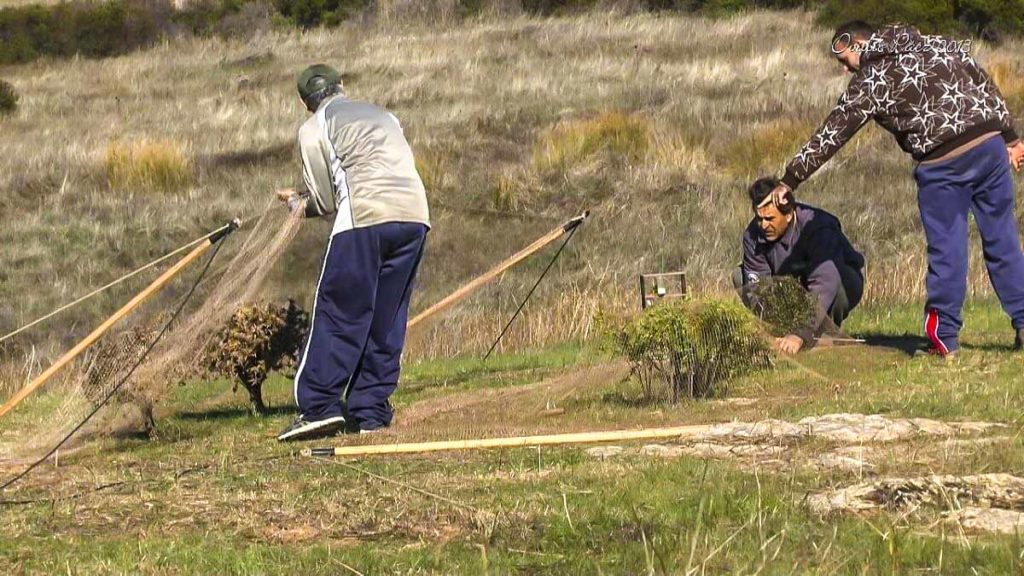 https://revistajaraysedal.es/wp-content/uploads/2021/08/pesca-galicia-puerto.jpg