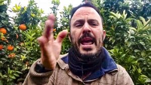 Un agricultor estalla contra el ruinoso precio al que les pagan las naranjas: «15.000 kilos a la basura»