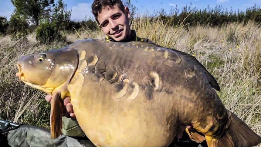 https://revistajaraysedal.es/wp-content/uploads/2021/08/pesca-galicia-puerto.jpg