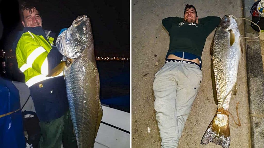 https://revistajaraysedal.es/wp-content/uploads/2021/08/pesca-galicia-puerto.jpg