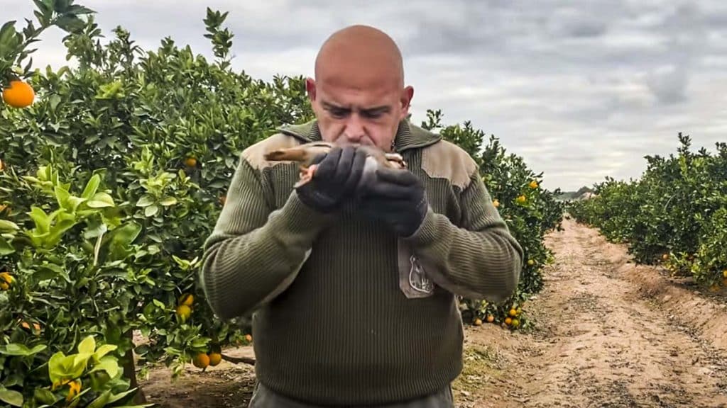 https://revistajaraysedal.es/wp-content/uploads/2021/08/pesca-galicia-puerto.jpg