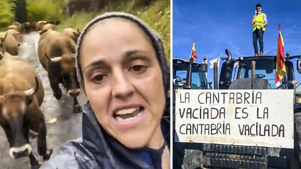 https://revistajaraysedal.es/wp-content/uploads/2021/08/pesca-galicia-puerto.jpg