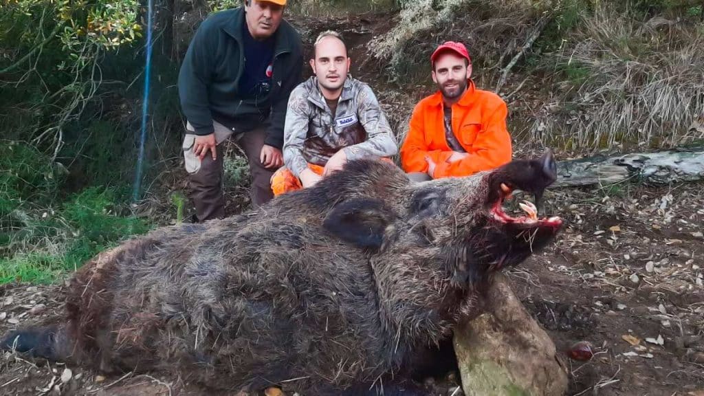 https://revistajaraysedal.es/wp-content/uploads/2021/08/pesca-galicia-puerto.jpg