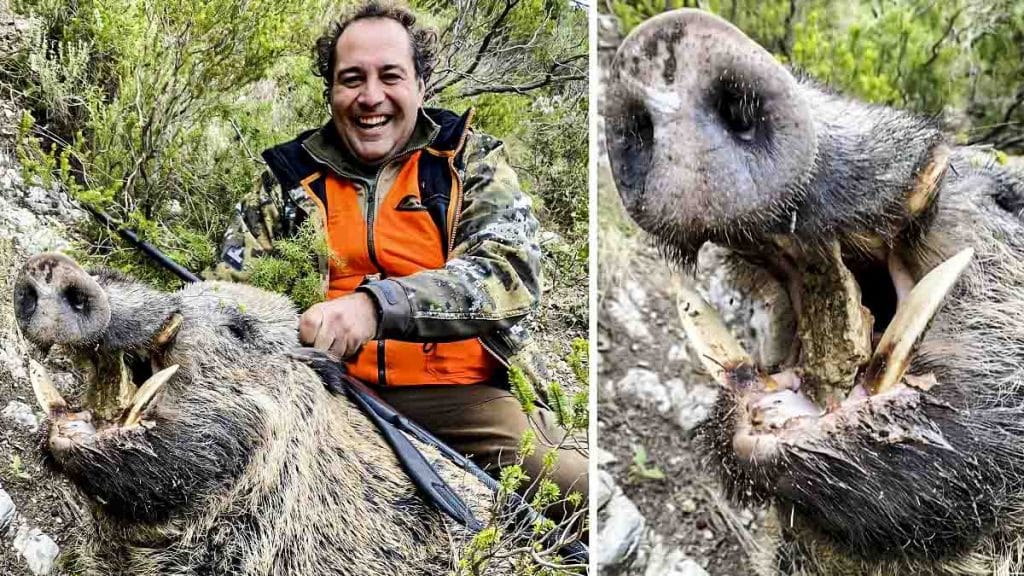 https://revistajaraysedal.es/wp-content/uploads/2021/08/pesca-galicia-puerto.jpg
