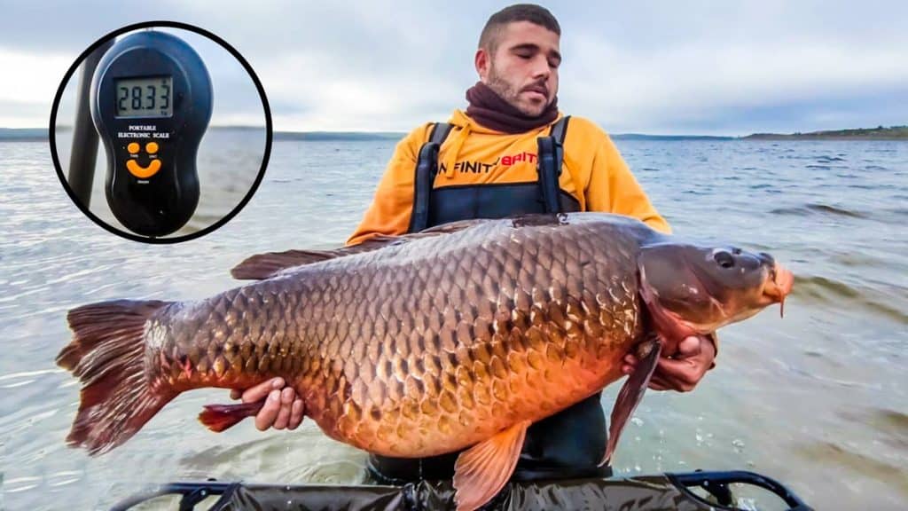 https://revistajaraysedal.es/wp-content/uploads/2021/08/pesca-galicia-puerto.jpg