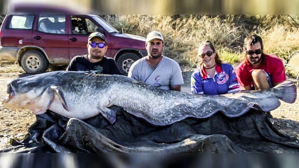 https://revistajaraysedal.es/wp-content/uploads/2021/08/pesca-galicia-puerto.jpg