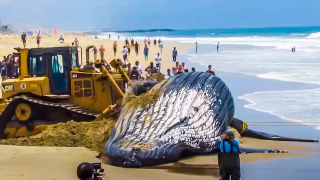 https://revistajaraysedal.es/wp-content/uploads/2021/08/pesca-galicia-puerto.jpg