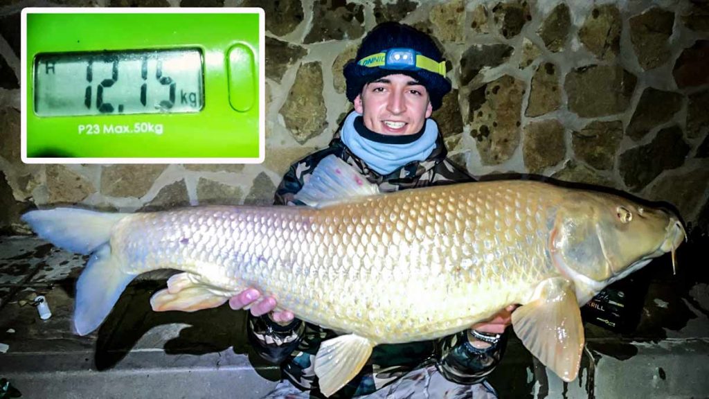 https://revistajaraysedal.es/wp-content/uploads/2021/08/pesca-galicia-puerto.jpg