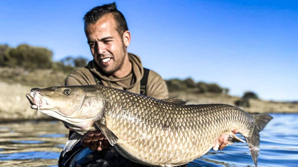 https://revistajaraysedal.es/wp-content/uploads/2021/08/pesca-galicia-puerto.jpg