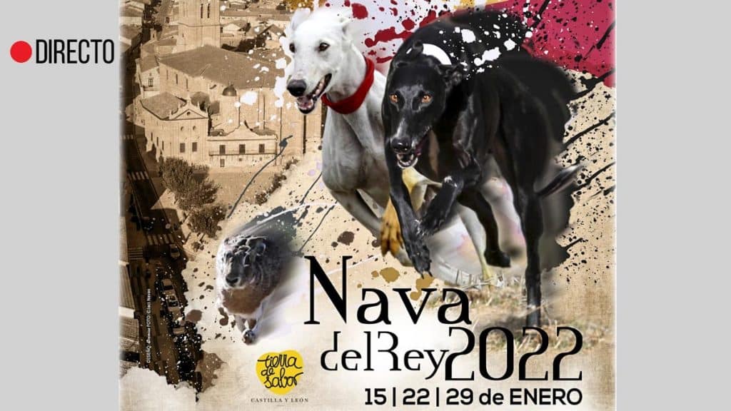 https://revistajaraysedal.es/wp-content/uploads/2021/08/pesca-galicia-puerto.jpg