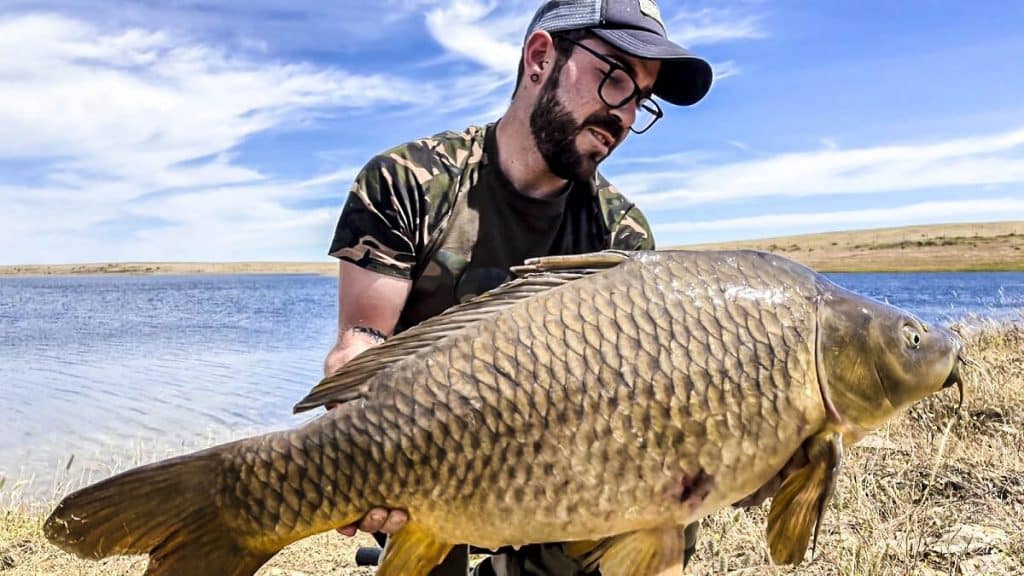 https://revistajaraysedal.es/wp-content/uploads/2021/08/pesca-galicia-puerto.jpg