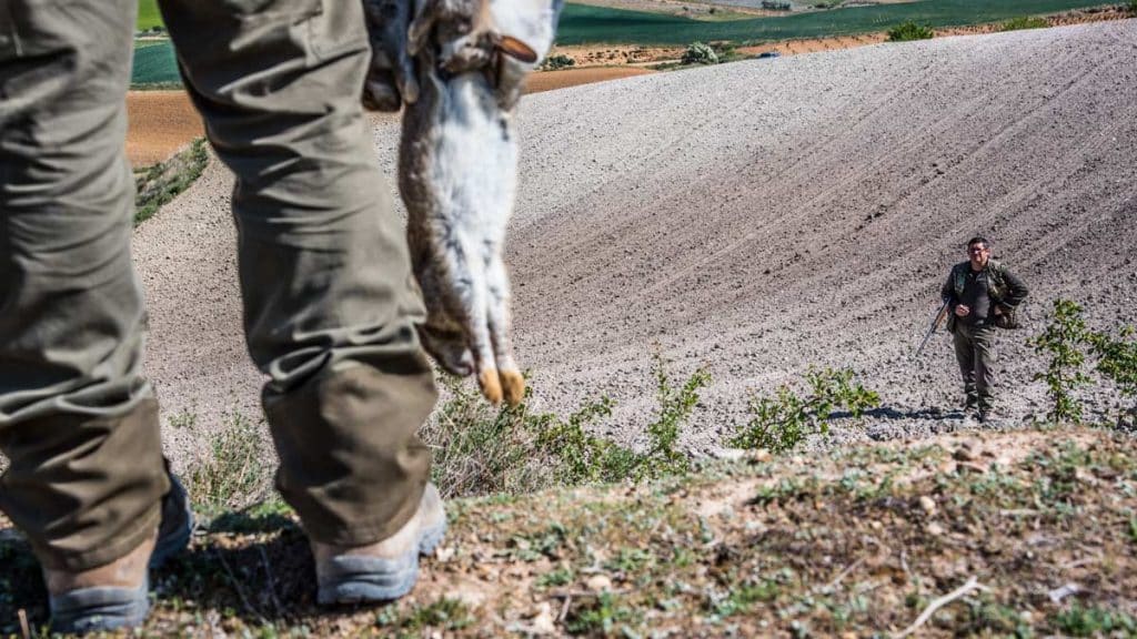 https://revistajaraysedal.es/wp-content/uploads/2021/08/pesca-galicia-puerto.jpg
