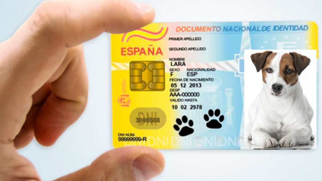 https://revistajaraysedal.es/wp-content/uploads/2021/08/pesca-galicia-puerto.jpg