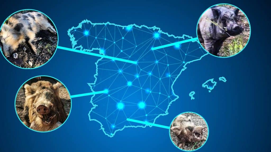 https://revistajaraysedal.es/wp-content/uploads/2021/08/pesca-galicia-puerto.jpg