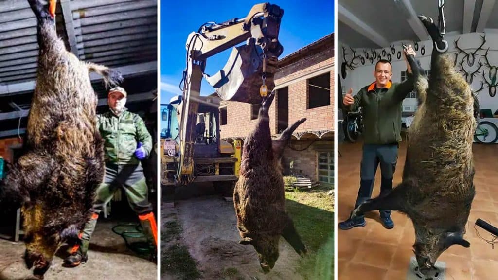 https://revistajaraysedal.es/wp-content/uploads/2021/08/pesca-galicia-puerto.jpg
