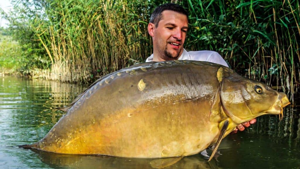 https://revistajaraysedal.es/wp-content/uploads/2021/08/pesca-galicia-puerto.jpg