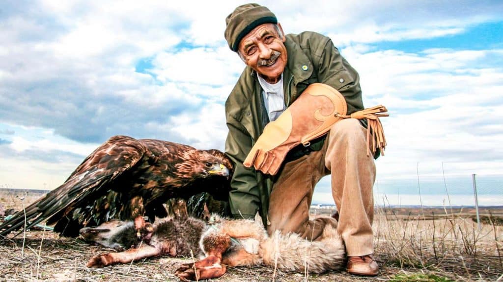 https://revistajaraysedal.es/wp-content/uploads/2021/08/pesca-galicia-puerto.jpg