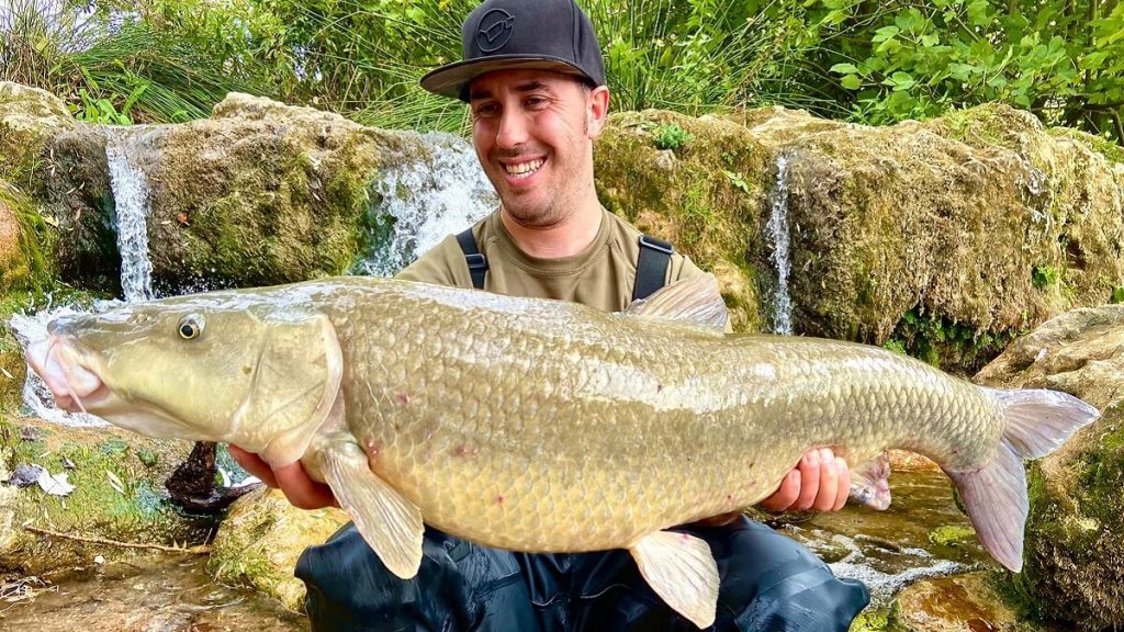 https://revistajaraysedal.es/wp-content/uploads/2021/08/pesca-galicia-puerto.jpg