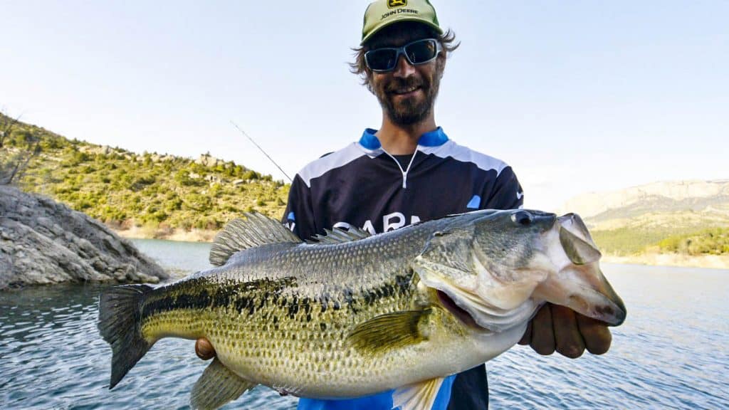 https://revistajaraysedal.es/wp-content/uploads/2021/08/pesca-galicia-puerto.jpg