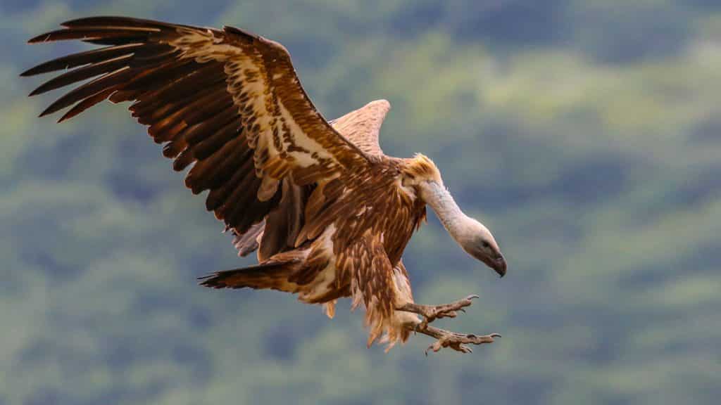 https://revistajaraysedal.es/wp-content/uploads/2021/08/pesca-galicia-puerto.jpg