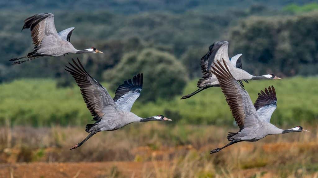 https://revistajaraysedal.es/wp-content/uploads/2021/08/pesca-galicia-puerto.jpg