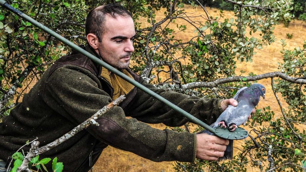 https://revistajaraysedal.es/wp-content/uploads/2021/08/pesca-galicia-puerto.jpg