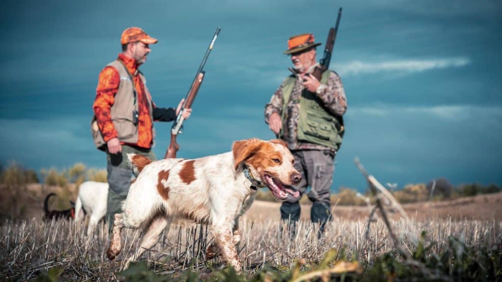 https://revistajaraysedal.es/wp-content/uploads/2021/08/pesca-galicia-puerto.jpg