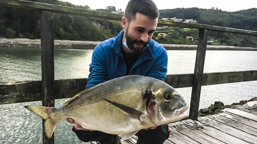 https://revistajaraysedal.es/wp-content/uploads/2021/08/pesca-galicia-puerto.jpg