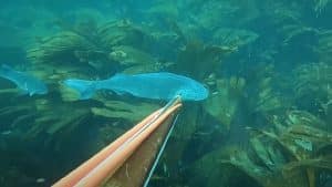 https://revistajaraysedal.es/wp-content/uploads/2021/08/pesca-galicia-puerto.jpg