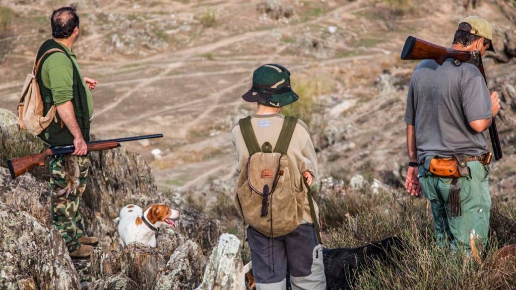 https://revistajaraysedal.es/wp-content/uploads/2021/08/pesca-galicia-puerto.jpg