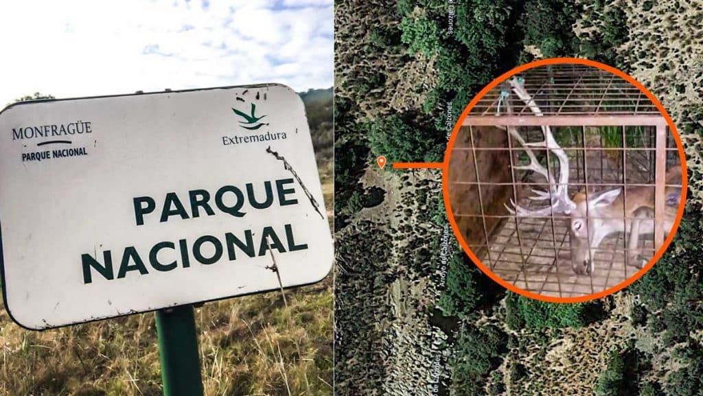 https://revistajaraysedal.es/wp-content/uploads/2021/08/pesca-galicia-puerto.jpg