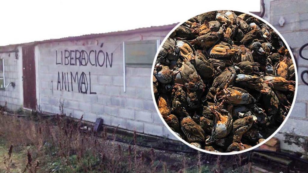 https://revistajaraysedal.es/wp-content/uploads/2021/08/pesca-galicia-puerto.jpg
