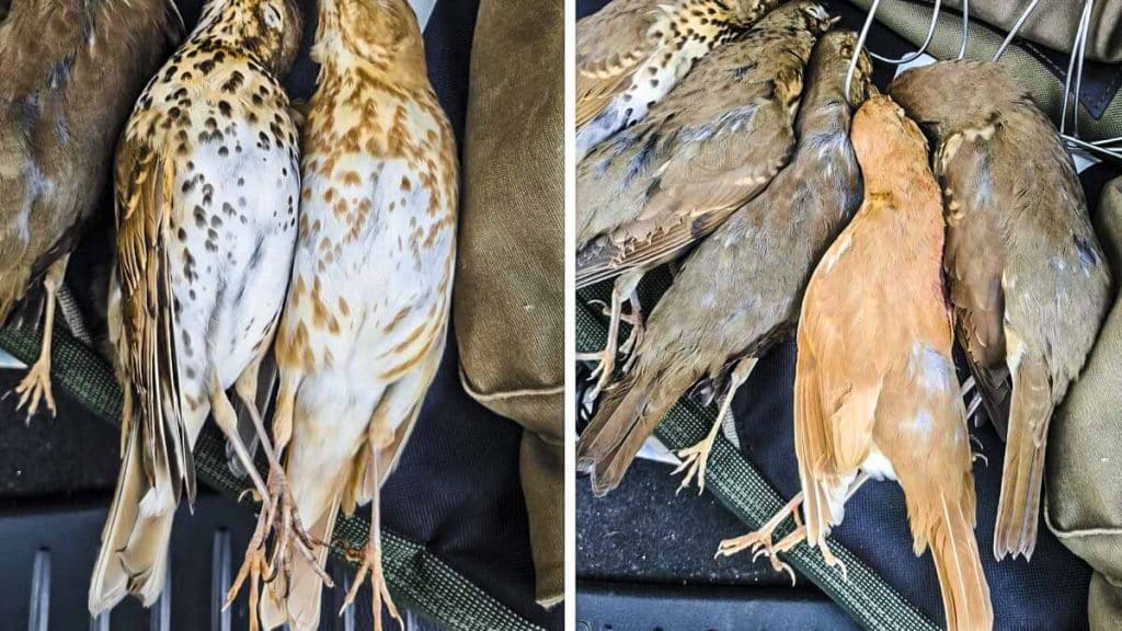 https://revistajaraysedal.es/wp-content/uploads/2021/08/pesca-galicia-puerto.jpg