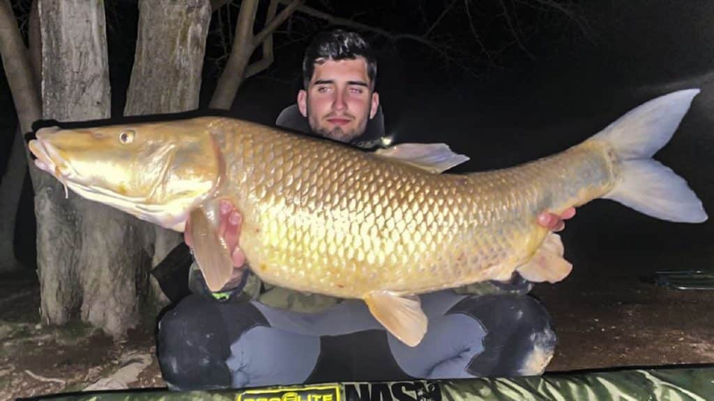 https://revistajaraysedal.es/wp-content/uploads/2021/08/pesca-galicia-puerto.jpg