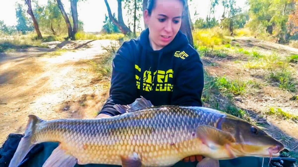https://revistajaraysedal.es/wp-content/uploads/2021/08/pesca-galicia-puerto.jpg