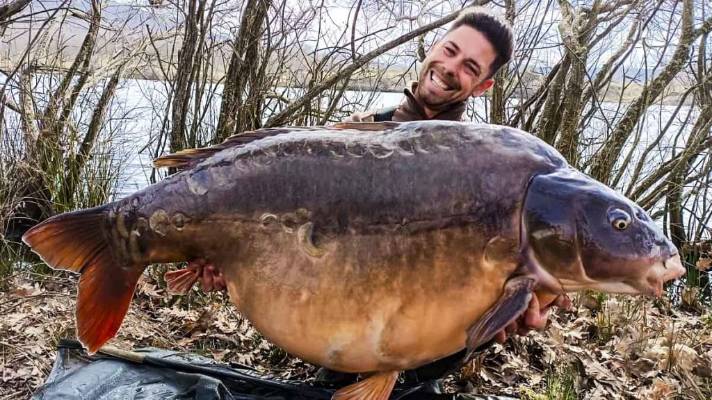 https://revistajaraysedal.es/wp-content/uploads/2021/08/pesca-galicia-puerto.jpg