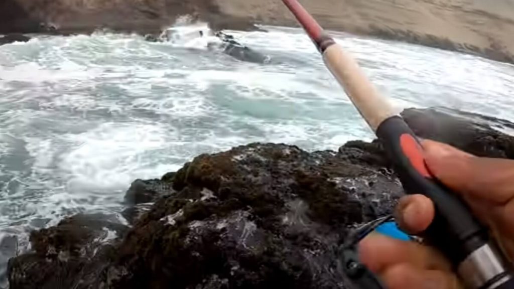 https://revistajaraysedal.es/wp-content/uploads/2021/08/pesca-galicia-puerto.jpg