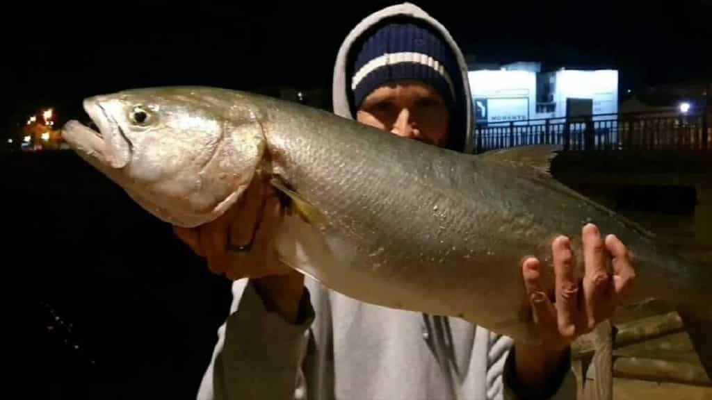 https://revistajaraysedal.es/wp-content/uploads/2021/08/pesca-galicia-puerto.jpg