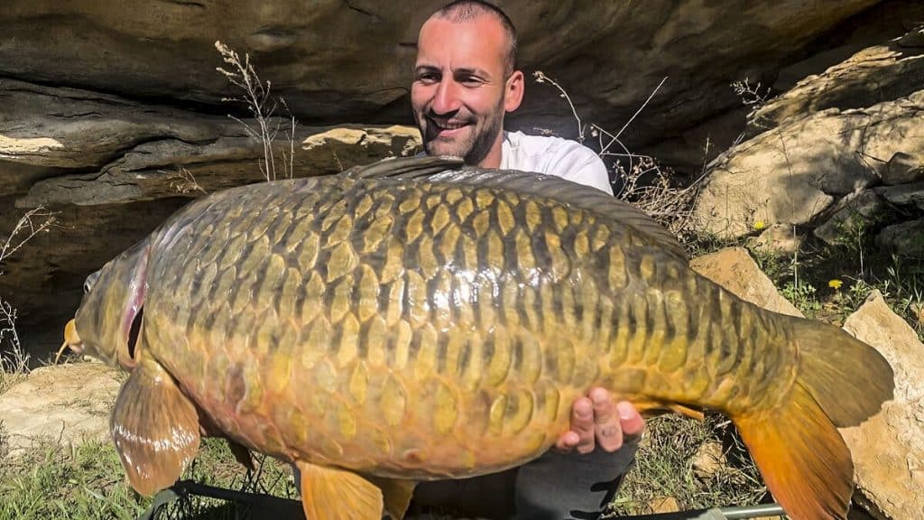 https://revistajaraysedal.es/wp-content/uploads/2021/08/pesca-galicia-puerto.jpg